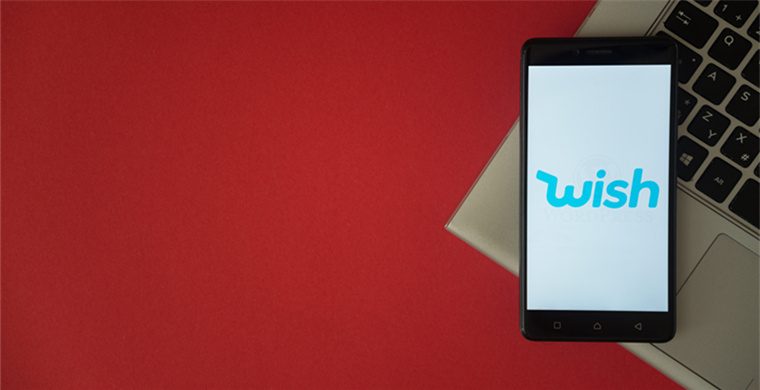 What are the French number formats? What's the difference between mobile and landline numbers?